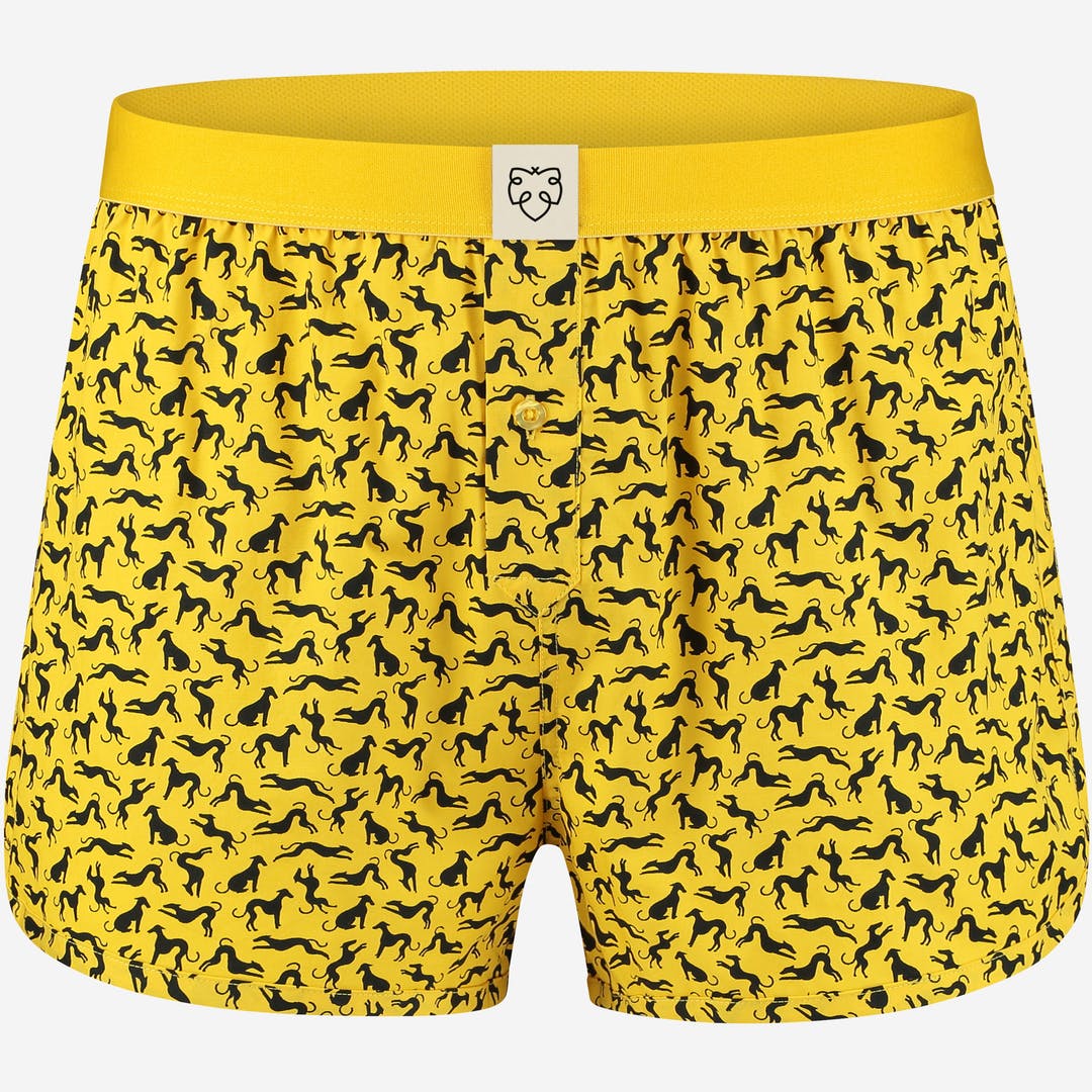 Gelbe Boxer-Shorts Dorian - Hunde-Print